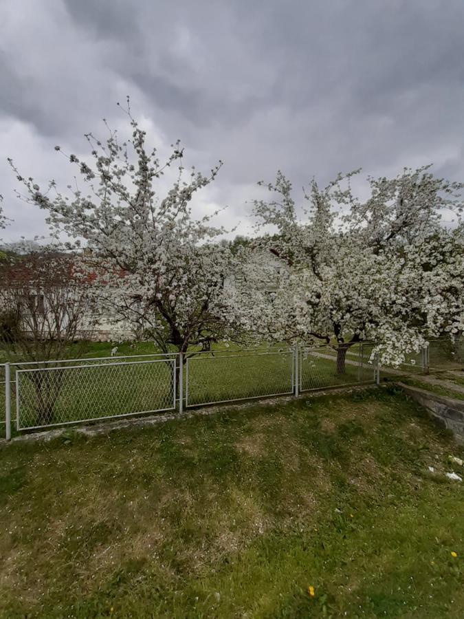 Apartman Djokovic Μόκρα Γκόρα Εξωτερικό φωτογραφία